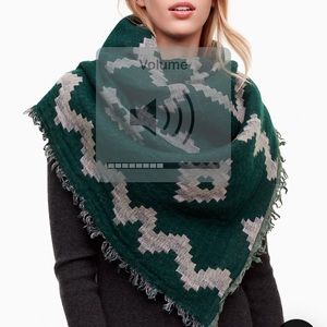 ARITZIA BANKET SCARF!
